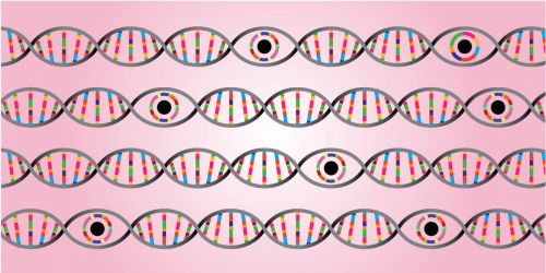 DNA and spying eyes